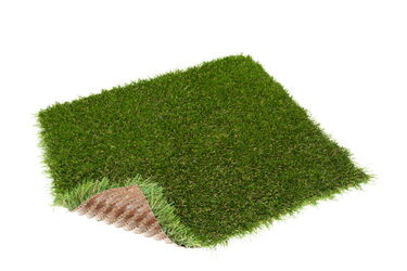 turfgrass galatea product view