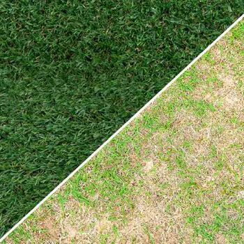 Comparación que muestra las ventajas del césped artificial sobre el césped natural.