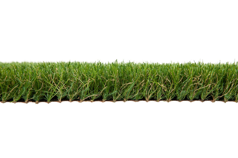 turfgrass galatea side view