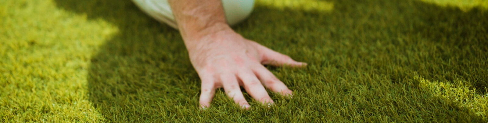 Hand on green trufgrass