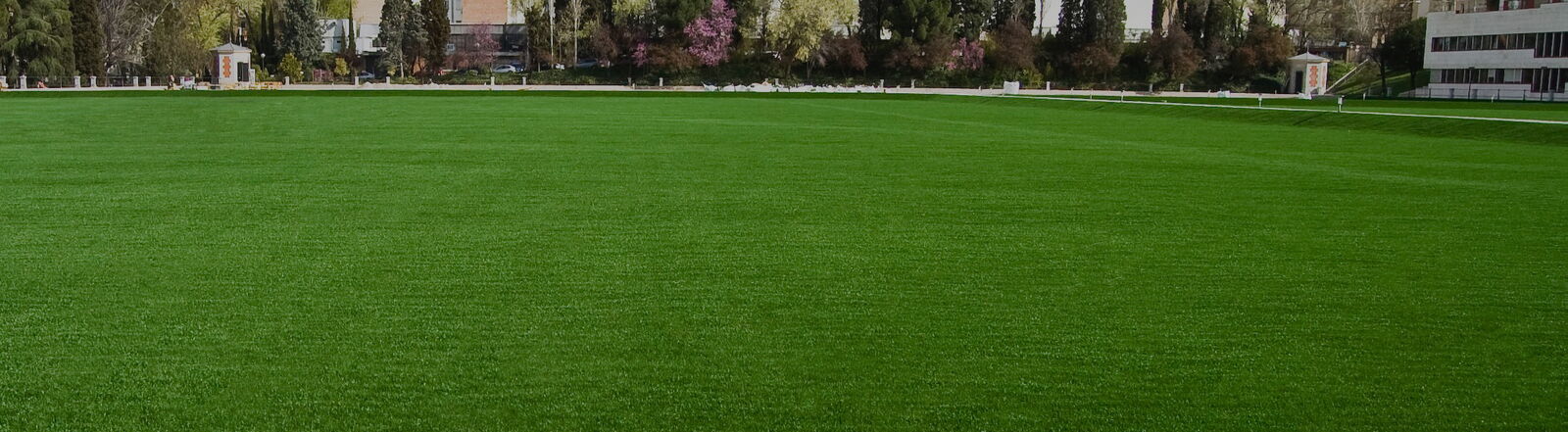Park field in city