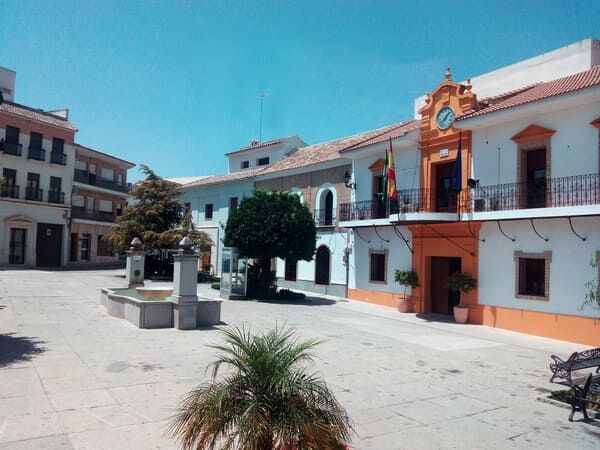 Renovación de las pista de pádel con césped artificial en el municipio de Santaella (Córdoba).