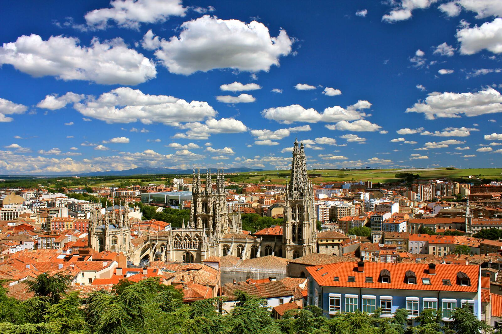 Venta e instalación de césped artficial en Burgos.