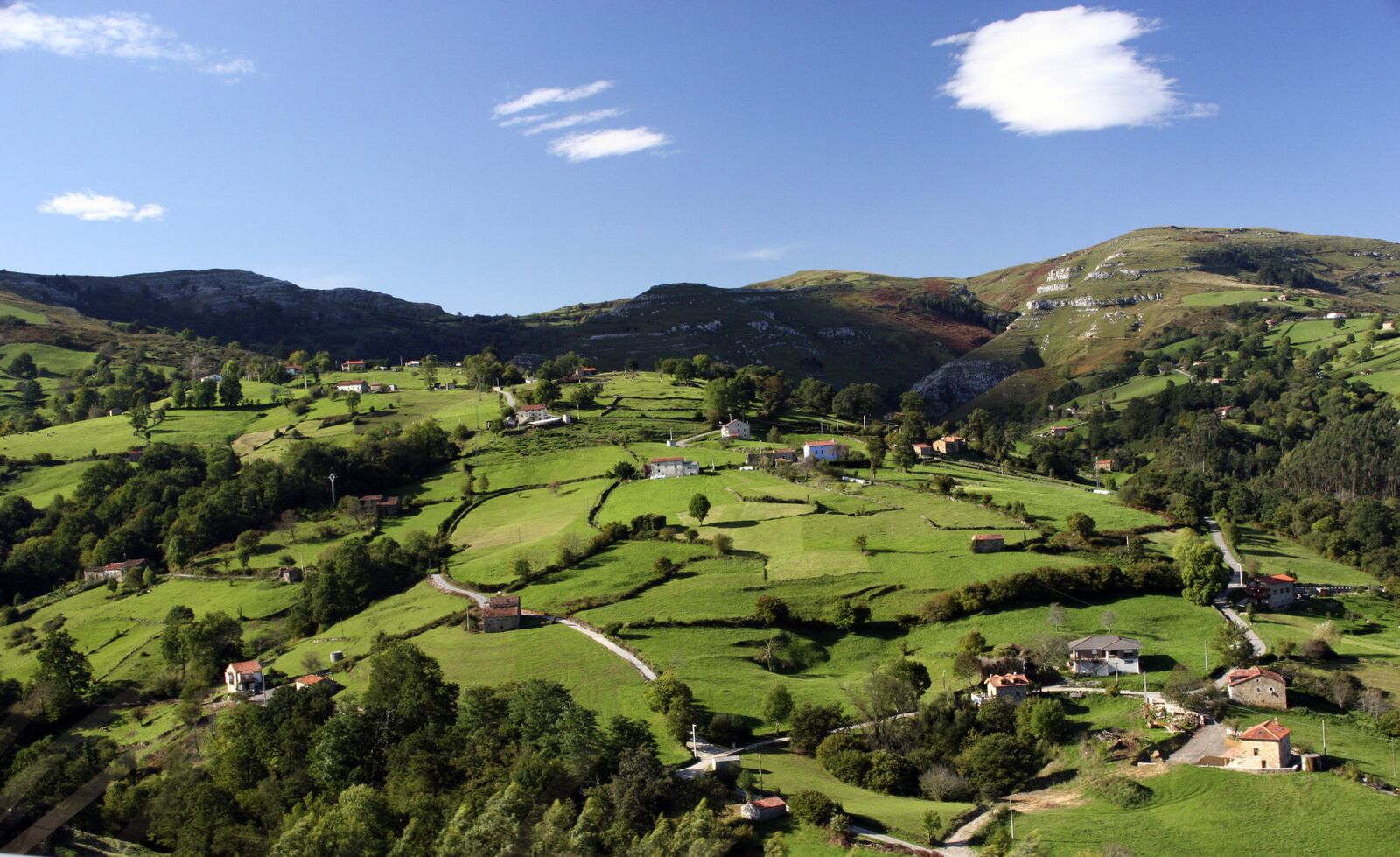 Venta e instalación de césped artificial en Cantabria.