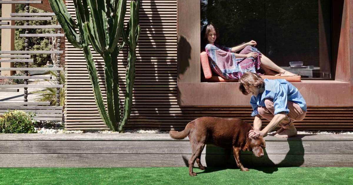 Pareja con su mascota sobre una de las instalaciones en jardines con césped artificial y piedras de Turfgrass.