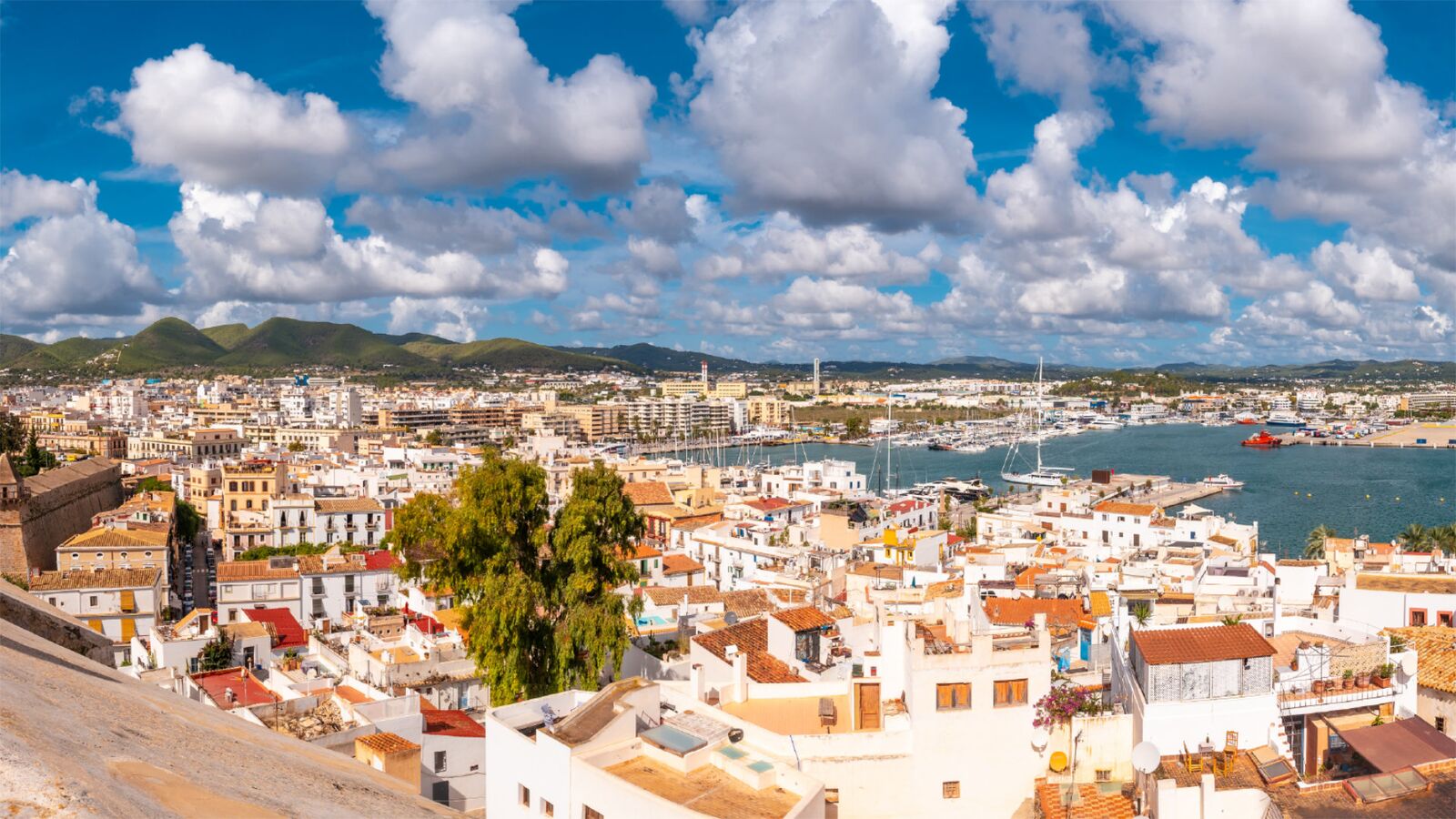 Ibiza - Césped Artificial