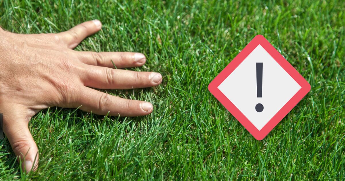 Lo que "no" debes hacer al reparar tu césped artificial