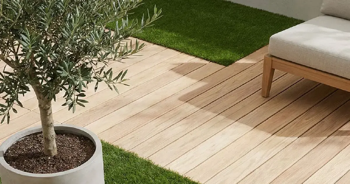 Modern outdoor patio featuring light-colored wood decking, a potted olive tree in a grey concrete planter, and integrated patches of green grass, all bathed in warm sunlight.
