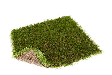 Praderia grass