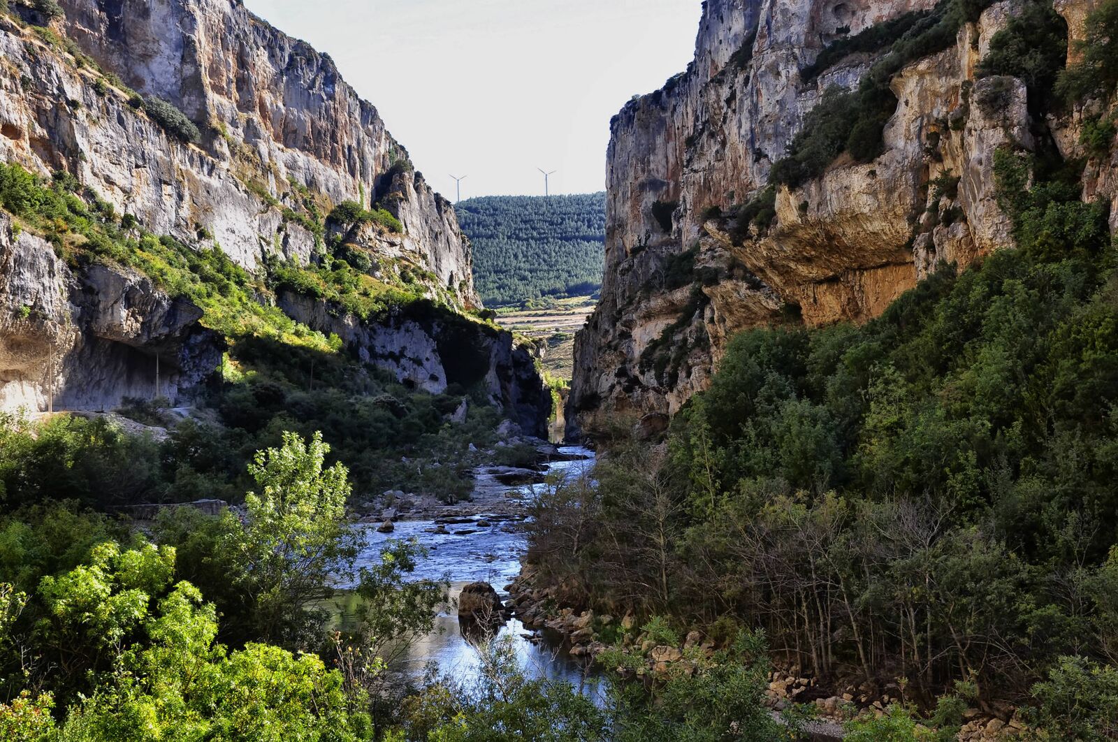 Imagen del entorno natural de Foz de Lumbier - Navarra.