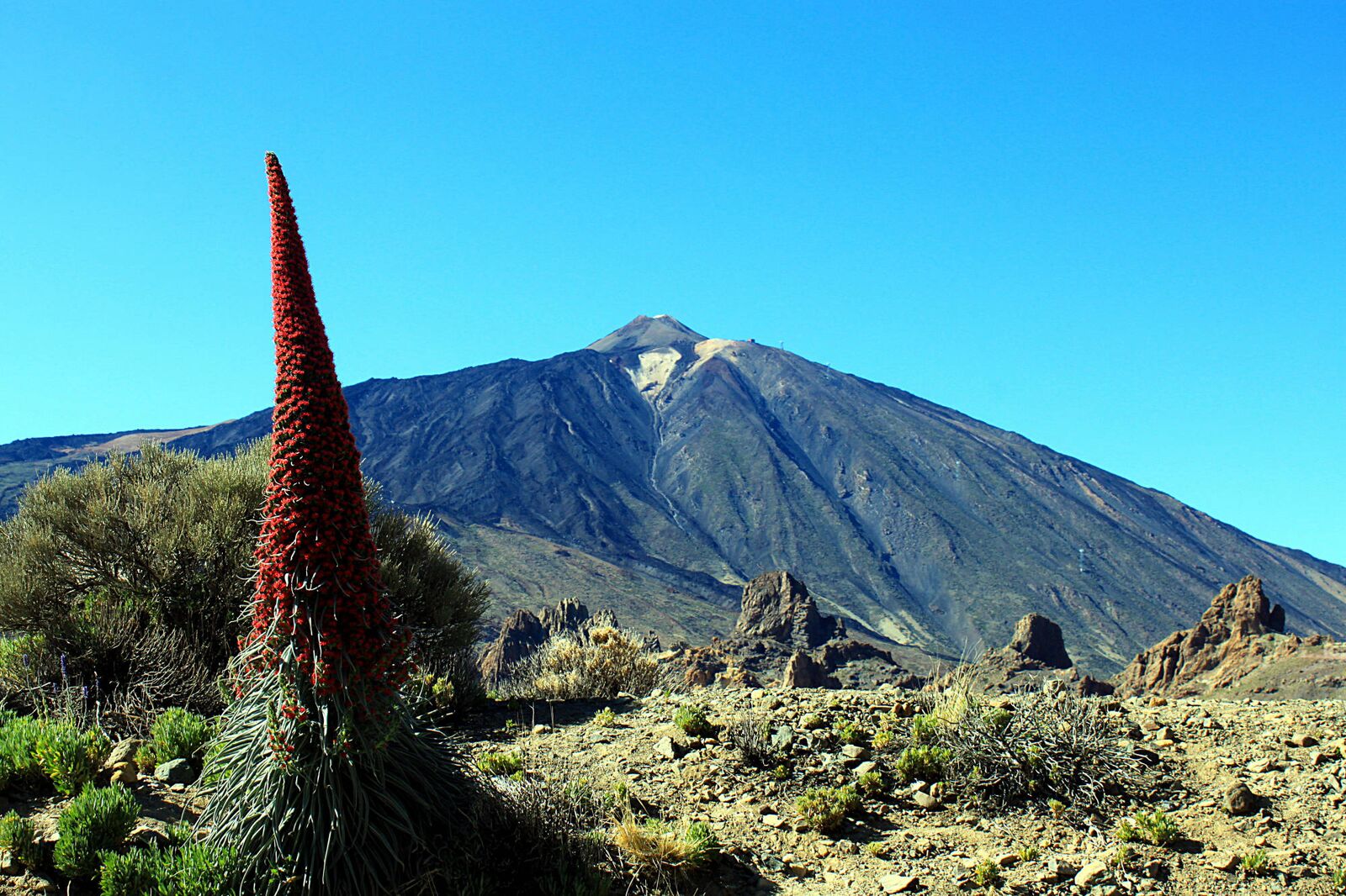 Imagen del Parque Nacional del Teide en Tenerife.